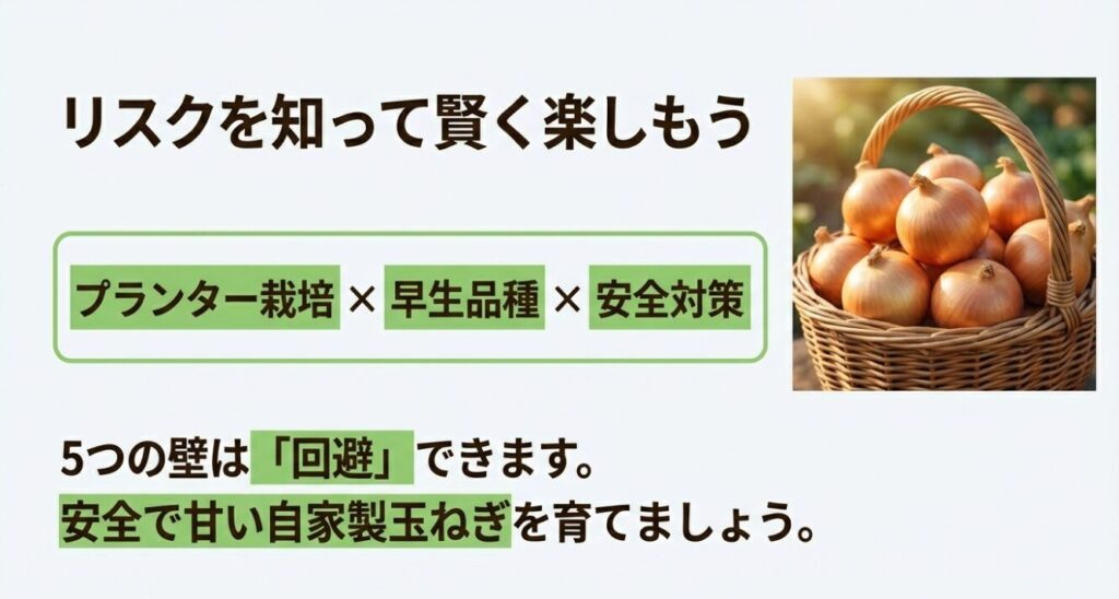 収穫された玉ねぎが入ったバスケットの写真。「プランター栽培×早生品種×安全対策」を組み合わせることで、5つの壁は回避できることを伝えるまとめスライド 。