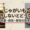 ジャガイモの芽かきをしないとどうなる？収量・病気・毒性の真実についてのスライド表紙