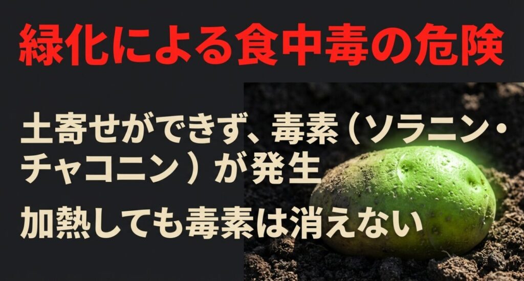 土寄せができずにジャガイモが緑化し、加熱しても消えない毒素ソラニンが発生する危険性