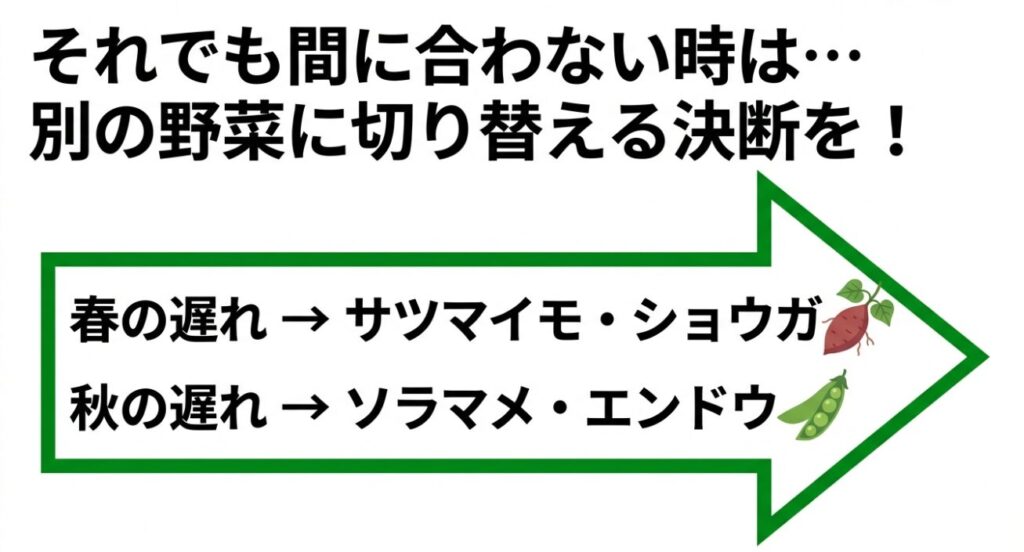 ジャガイモ栽培が間に合わない場合に切り替えるべきサツマイモやソラマメなどの野菜