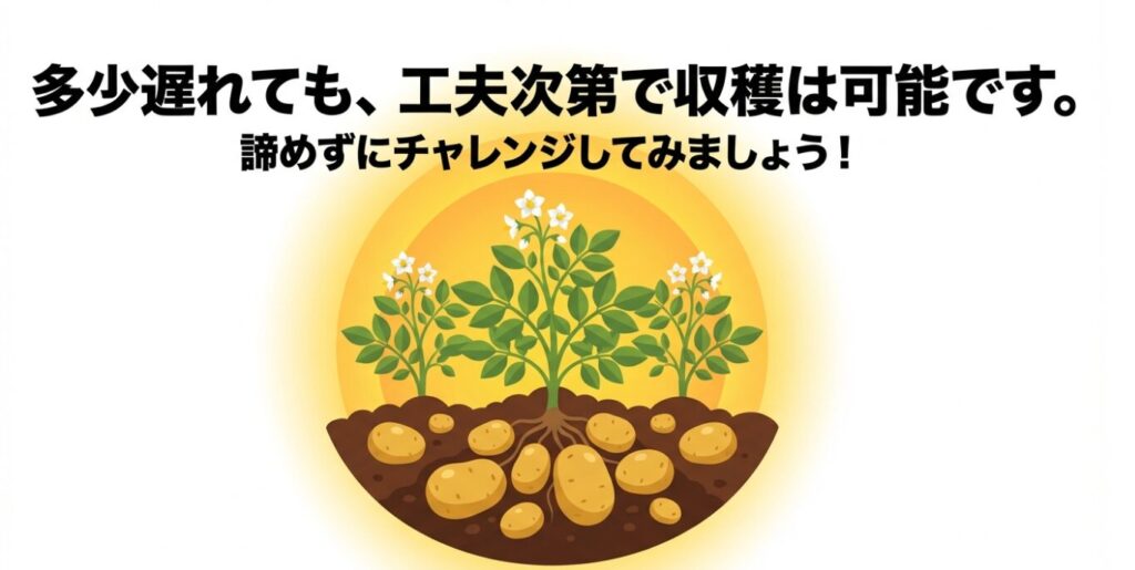 時期が遅れても工夫次第でジャガイモは収穫可能であることを伝える応援イラスト