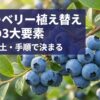 ブルーベリー植え替え成功の3大要素（時期・用土・手順）の解説スライド