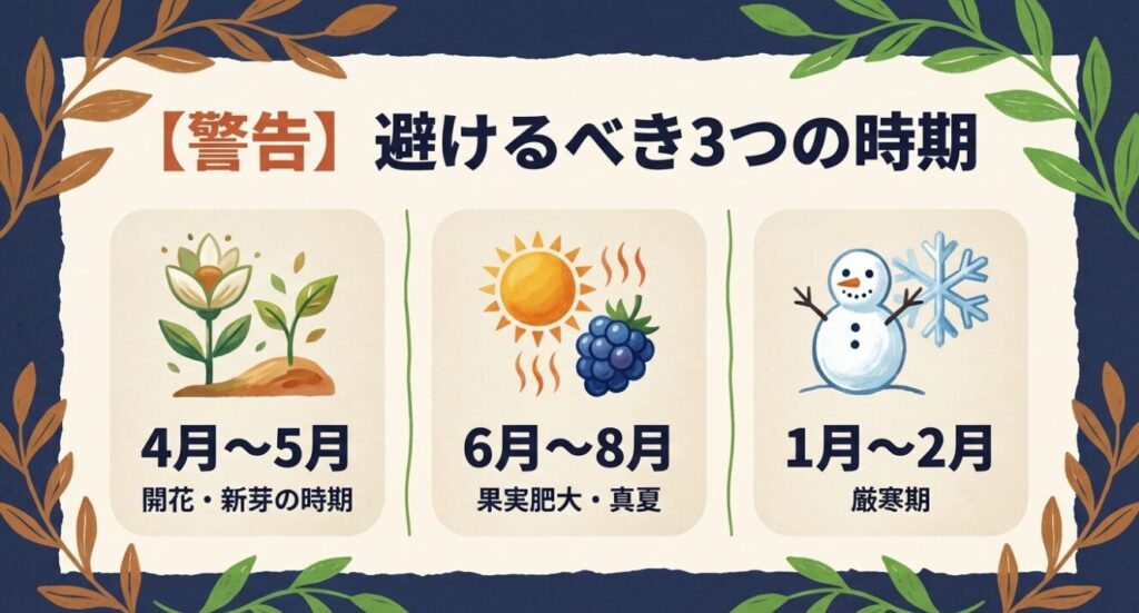 ブルーベリー植え替えで避けるべき3つの時期(開花期・真夏・厳寒期)