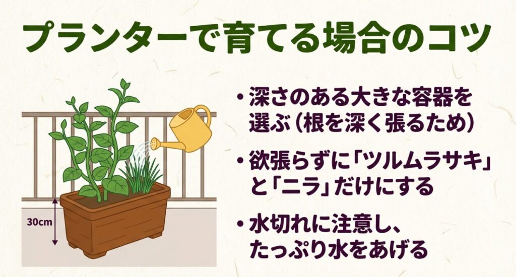 深さのあるプランター選びとニラとの混植配置のポイント解説