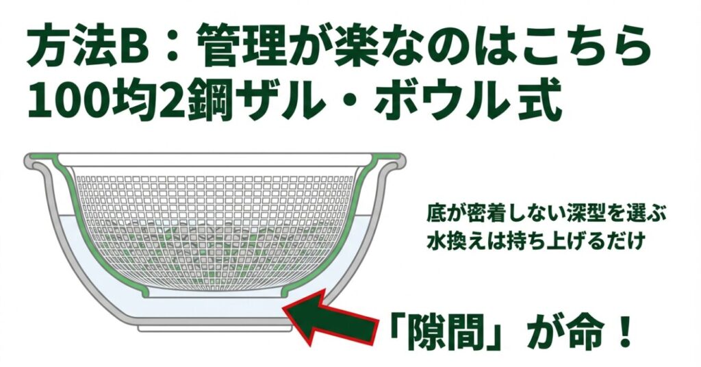 100円ショップのザルとボウルを組み合わせ、隙間を作って根腐れを防ぐ水耕栽培の方法
