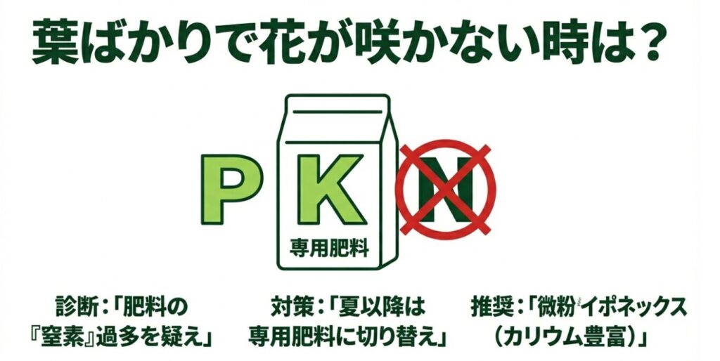 窒素過多を疑い、夏以降はPK（リン酸・カリウム）の専用肥料に切り替えて花芽を促進する方法