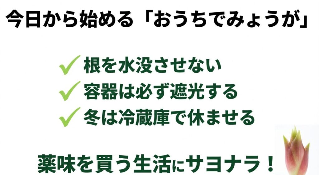根を水没させない、遮光する、冬は休ませるなど、みょうが水耕栽培の成功の秘訣まとめ