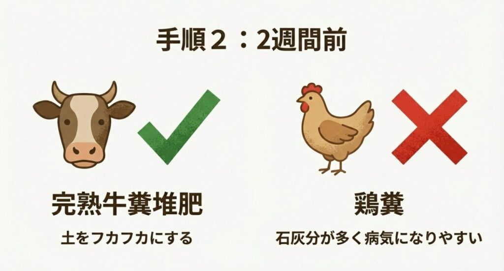 牛糞堆肥と鶏糞の違い：じゃがいもには完熟牛糞堆肥がおすすめ、鶏糞は石灰過多に注意