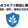 水耕栽培のゴキブリ原因と鉄壁対策・盾と植物のイメージイラスト