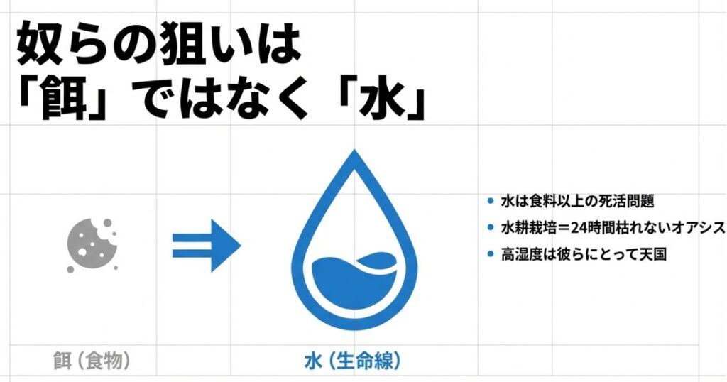 水耕栽培は24時間枯れないオアシス・高湿度はゴキブリにとって天国