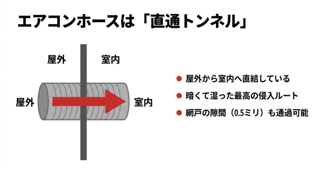 エアコンのドレンホースは暗くて湿った最高の侵入ルート・網戸の隙間も通過可能