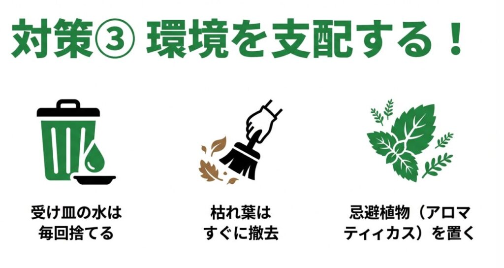 受け皿の水を捨てる・枯れ葉の撤去・忌避植物アロマティカスを置く環境対策