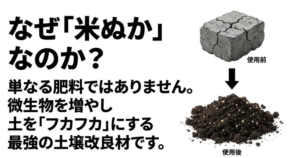 硬い土の塊が、米ぬかと微生物の働きによってフカフカの土に変化した様子を比較した画像。
