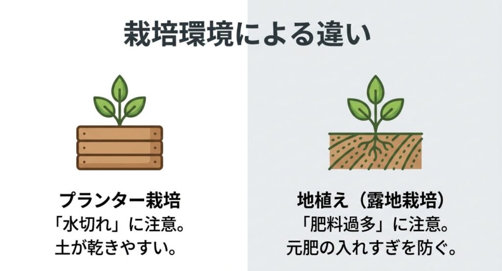プランター栽培での水切れと、地植えでの肥料過多という栽培環境による注意点の違い