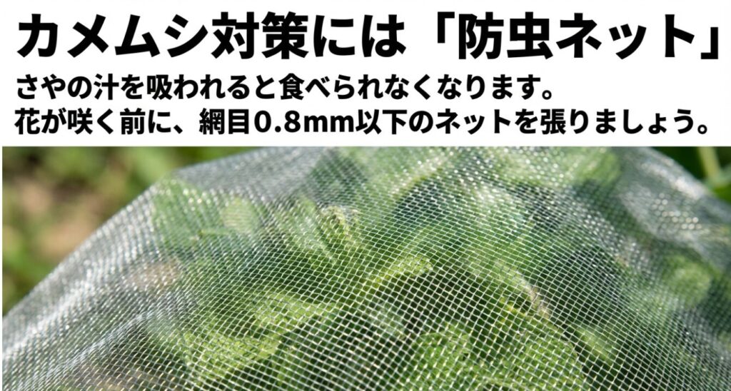 カメムシ対策には「防虫ネット」 。さやの汁を吸われると食べられなくなります 。花が咲く前に、網目0.8mm以下のネットを張りましょう 。