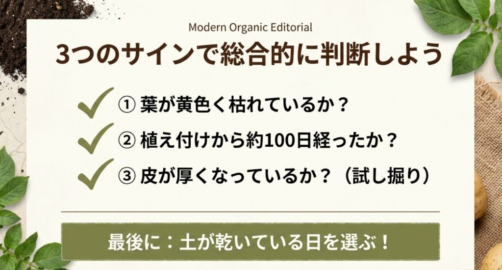 葉が黄色く枯れているか、植え付けから約100日経ったか、試し掘りで皮が厚くなっているかという3つのサインで総合的に判断し、土が乾いている日を選ぶというまとめ 。