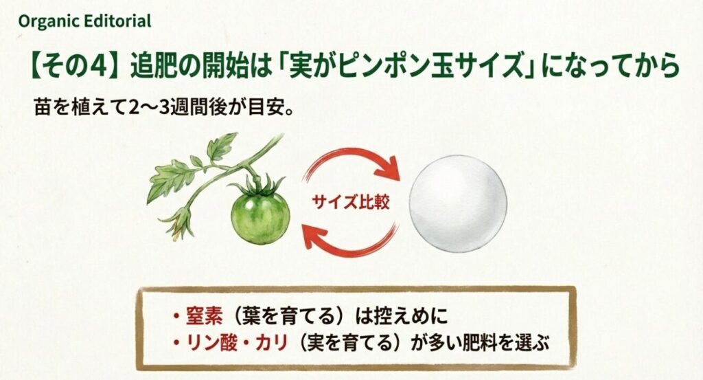 追肥は実がピンポン玉サイズになってから始め、窒素は控えめにする