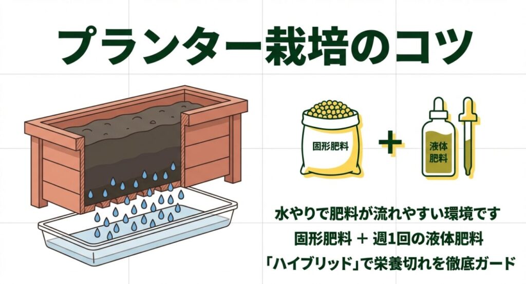 プランター栽培では水やりで肥料が流れやすいため、固形肥料と液体肥料を組み合わせるハイブリッド方式を推奨する図解