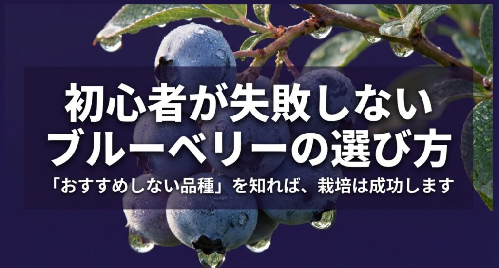 初心者が失敗しないブルーベリーの選び方