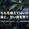 庭にすももを植えてはいけない？その真実と甘い実を育てる秘訣と書かれたタイトルスライド