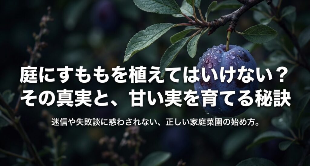 庭にすももを植えてはいけない?その真実と甘い実を育てる秘訣と書かれたタイトルスライド