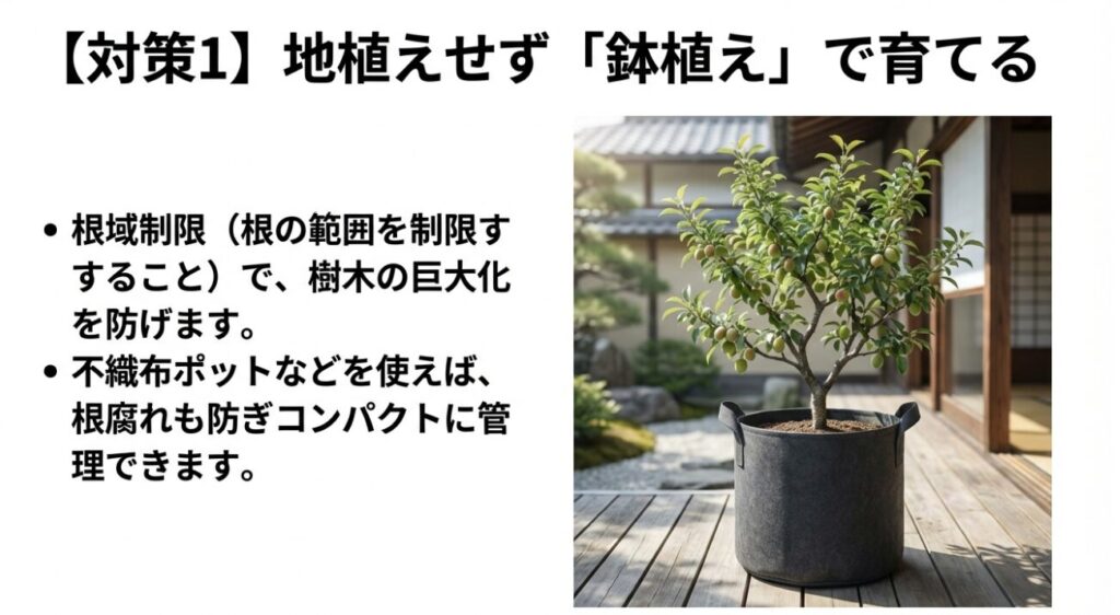 地植えせず不織布ポットなどの鉢植えで根域制限を行い、コンパクトに育てる対策を解説するスライド