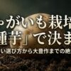 失敗しない選び方から大豊作までの絶対ルールを解説するタイトルスライド