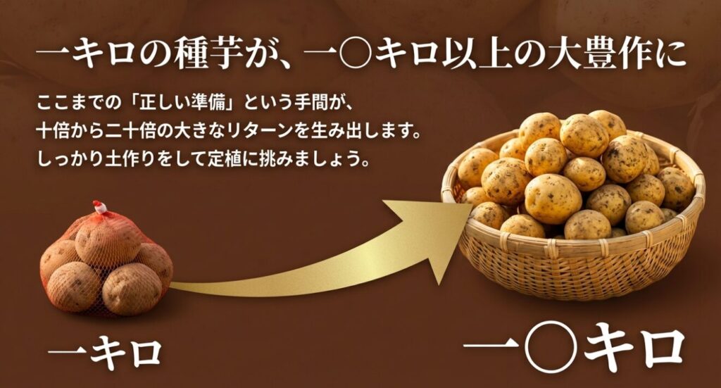 正しい準備を行う手間で、一キロの種芋が十倍から二十倍の大きなリターンを生み出すことを示すスライド