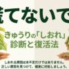 慌てないで！きゅうりのしおれ診断と復活法の解説表紙