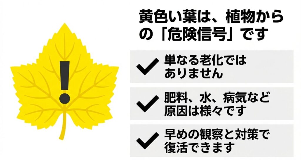 黄色い葉は植物からの危険信号であり、単なる老化ではなく、肥料、水、病気など様々な原因があることを示すスライド 。