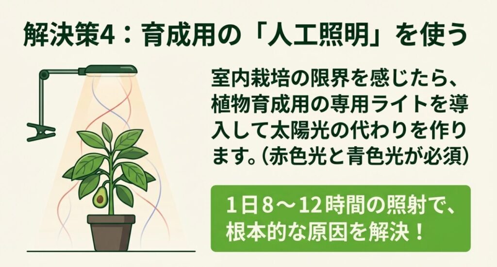 室内栽培の限界を感じた際に、赤色光と青色光を含む植物育成用の専用ライトを1日8から12時間照射して光不足を解決する様子