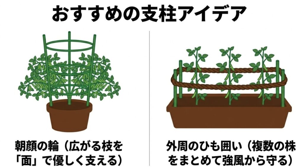 アサガオの輪やひも囲いを使ったプランター枝豆におすすめの支柱アイデア