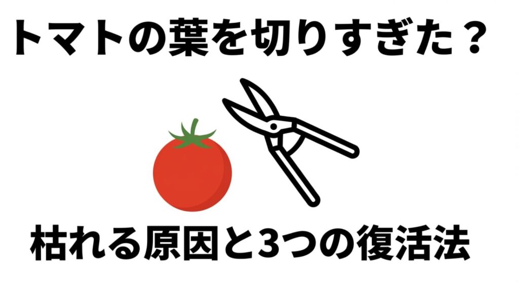 ハサミとミニトマトのイラスト。トマトの葉を切りすぎたことによる枯れる原因と3つの復活法についてのタイトルスライド