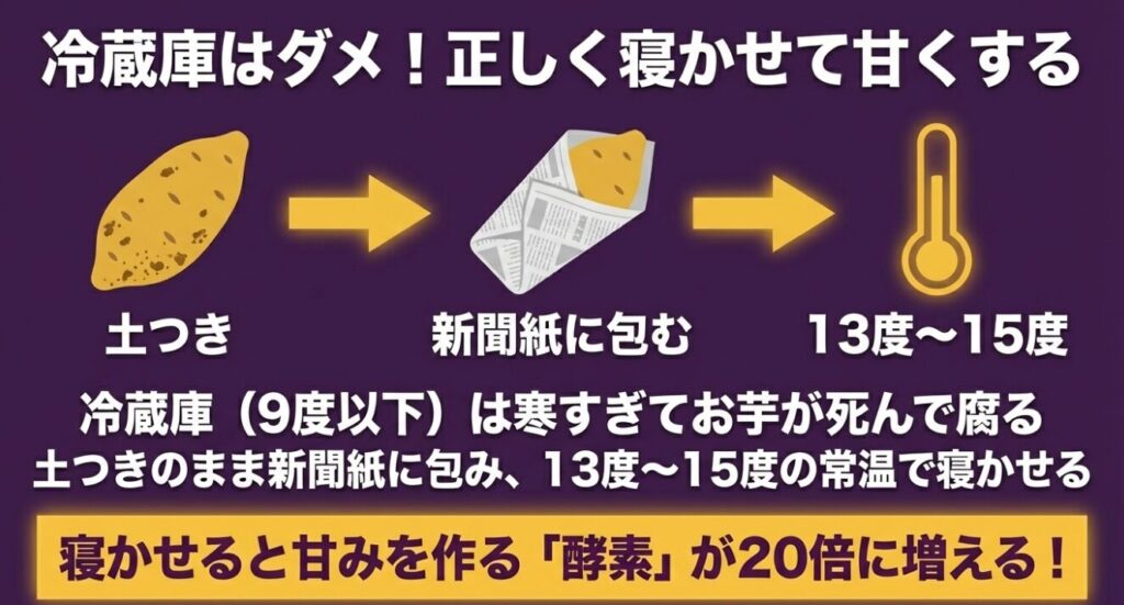 冷蔵庫は避け、土つきのまま新聞紙に包み13度から15度で寝かせることで酵素が増える正しい保存方法 。