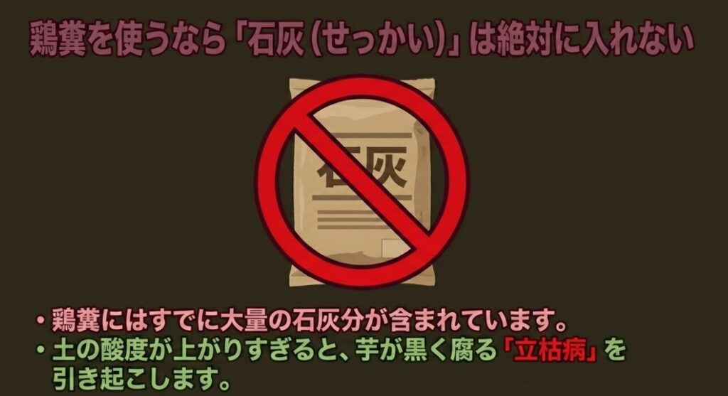 鶏糞には石灰分が含まれるため、土の酸度が上がりすぎて立枯病を引き起こすのを防ぐため石灰は絶対に入れない