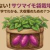 サツマイモ袋栽培の極意！大収穫のための7つの手順