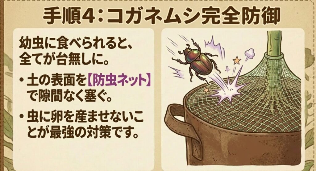 サツマイモをコガネムシの幼虫から守る防虫ネットを使った完全防御