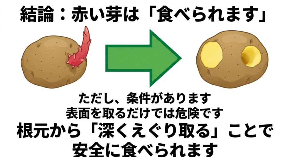 赤い芽は表面を取るだけでは危険だが、根元から深くえぐり取ることで安全に食べられることを解説したスライド