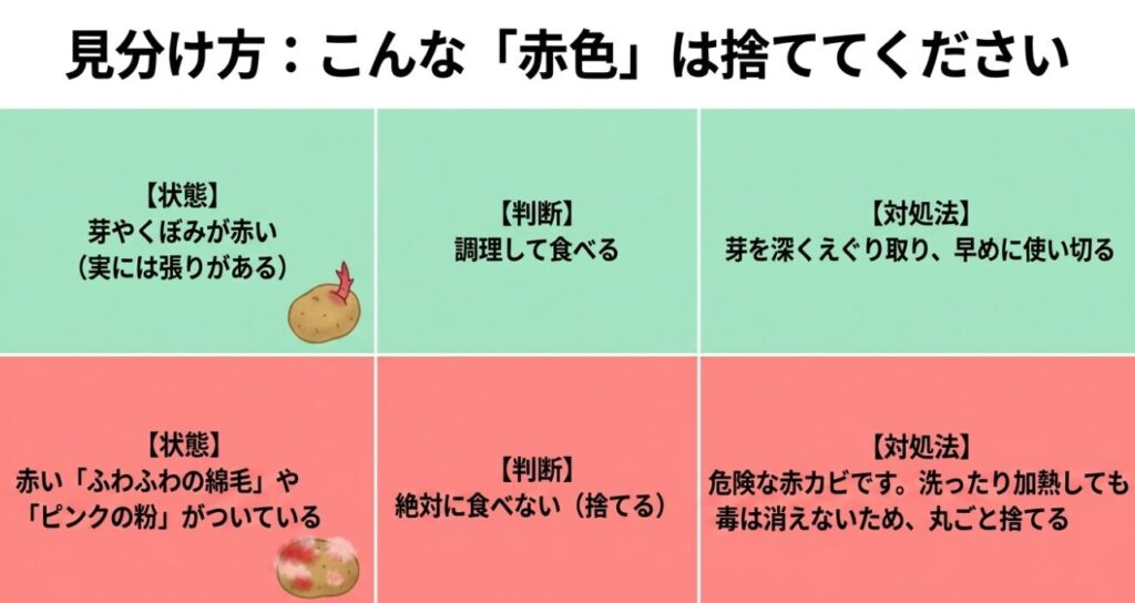 調理して食べられる赤い芽と、絶対に食べてはいけないピンクの粉や赤いふわふわの綿毛がついた赤カビの見分け方をまとめた表
