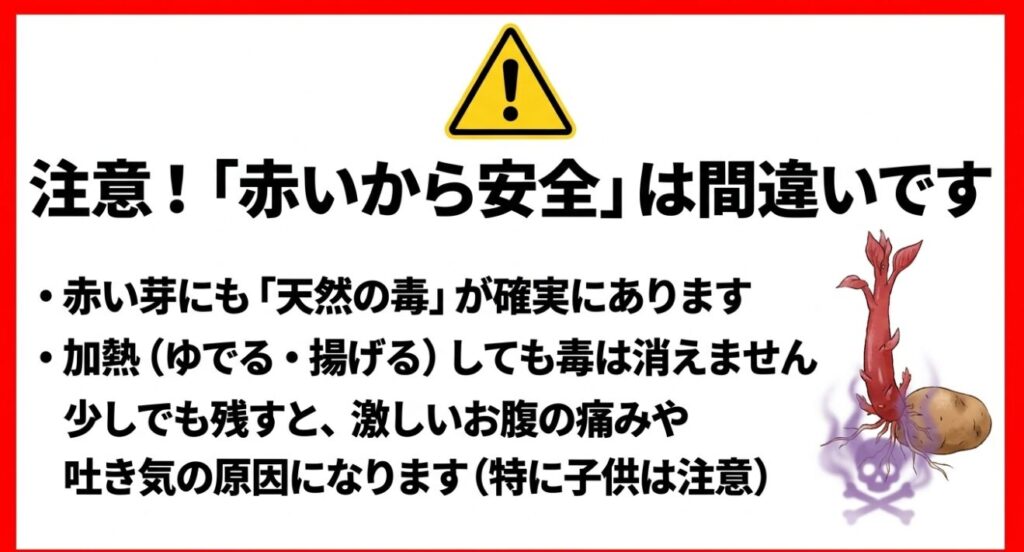 赤い芽にも確実にある天然の毒は加熱しても消えず、残すと激しいお腹の痛みや吐き気の原因になることを警告するスライド