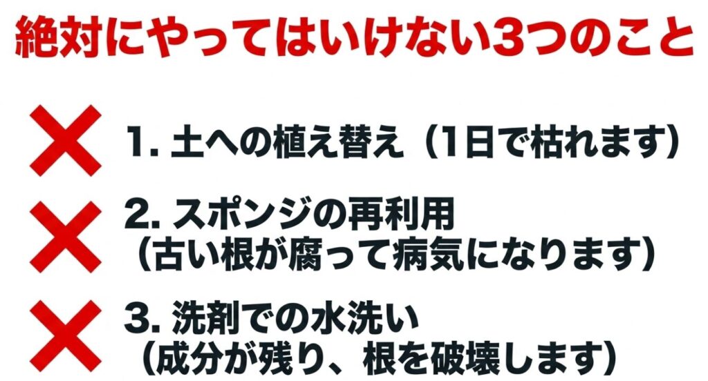土への植え替え、スポンジの再利用、洗剤での水洗いなど、水耕栽培におけるNG行動3選