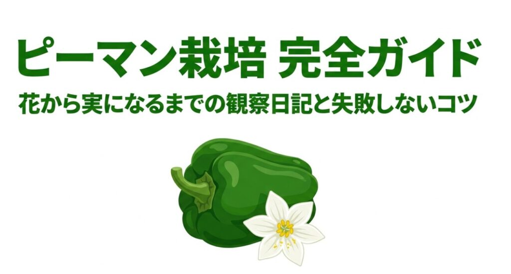 ピーマン栽培完全ガイドのタイトルと、緑色のピーマン・白い花のイラスト