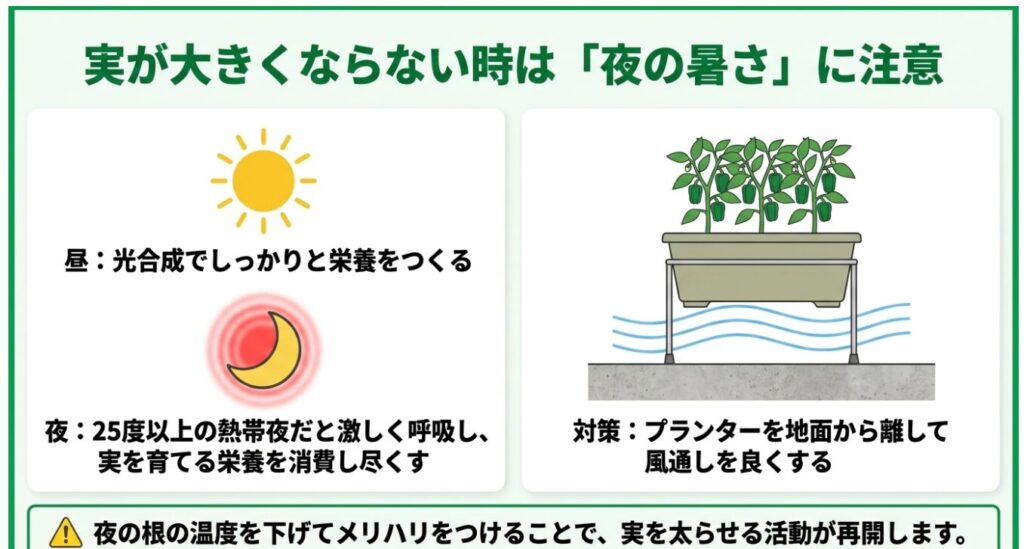 熱帯夜による栄養消費を防ぐため、プランターをスタンドに乗せて風通しを良くする対策図解