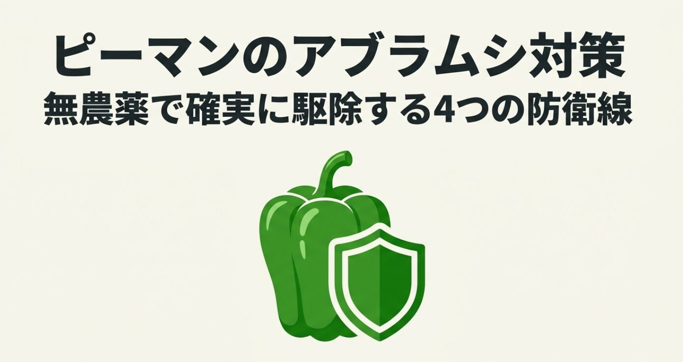 ピーマンのアブラムシ対策。無農薬で確実に駆除する4つの防衛線