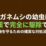 コガネムシの幼虫は無農薬で完全に駆除できる 。大切な植物を守るための確実な対処法と予防策 。