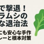 お酢を使ったアブラムシの安全な退治法と子どもにも安心な根本対策を解説するタイトル画像