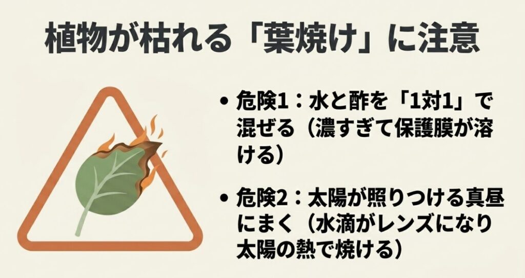 お酢が濃すぎたり真昼に散布したりすると起こる「葉焼け」の危険性とメカニズム