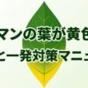 ピーマンの葉が黄色い原因と一発対策マニュアルの表紙イラスト