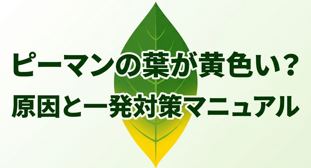 ピーマンの葉が黄色い原因と一発対策マニュアルの表紙イラスト