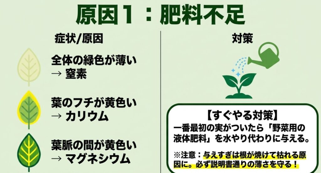 ピーマンの葉が黄色くなる原因の一つである肥料不足の症状と、液体肥料を使ったすぐやる対策の解説